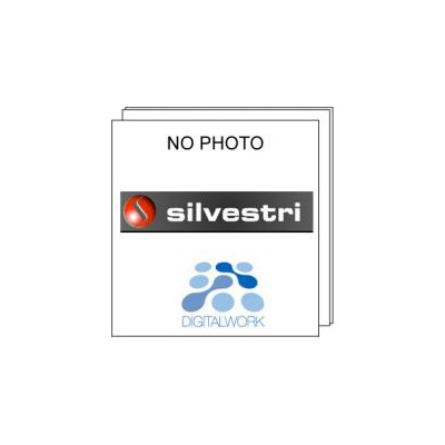 Silvestri Alimentatore Unit 220v to 9v (for code 7053K)