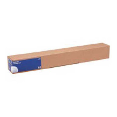 Epson Photo Paper Gloss cm61x30.5 rotolo gr250