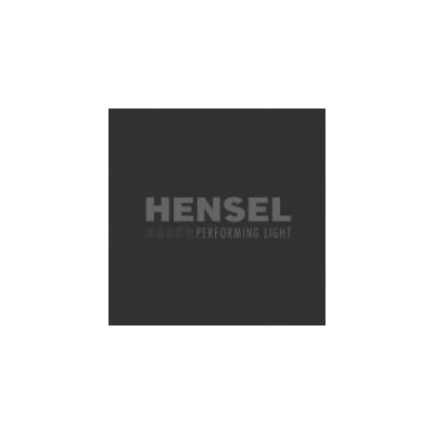 Hensel Pannello riflettente bianco-trasparente 1x2m