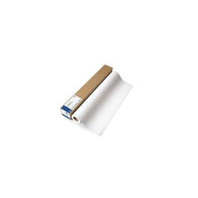 Epson Photo Paper Glossy cm18x30.5 rotolo gr250