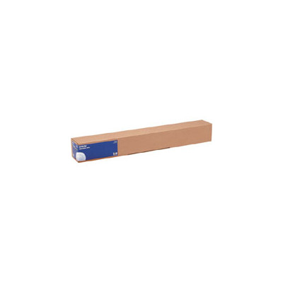Epson Photo Paper Gloss cm91.40x30.5 rotolo gr250