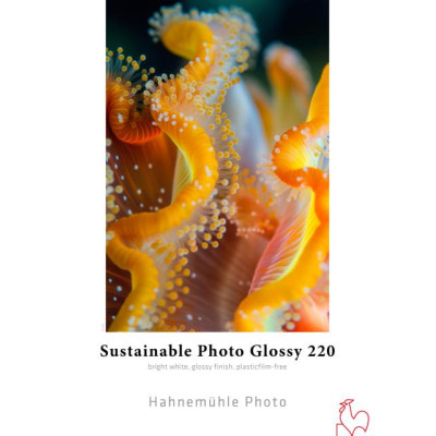 Hahnemuhle Sustainable Photo Glossy gr220    A4x25