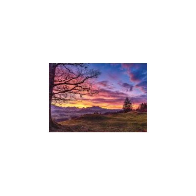 MediaJet Photo Silk Matt PMC 180FD gr200 1.06x30m